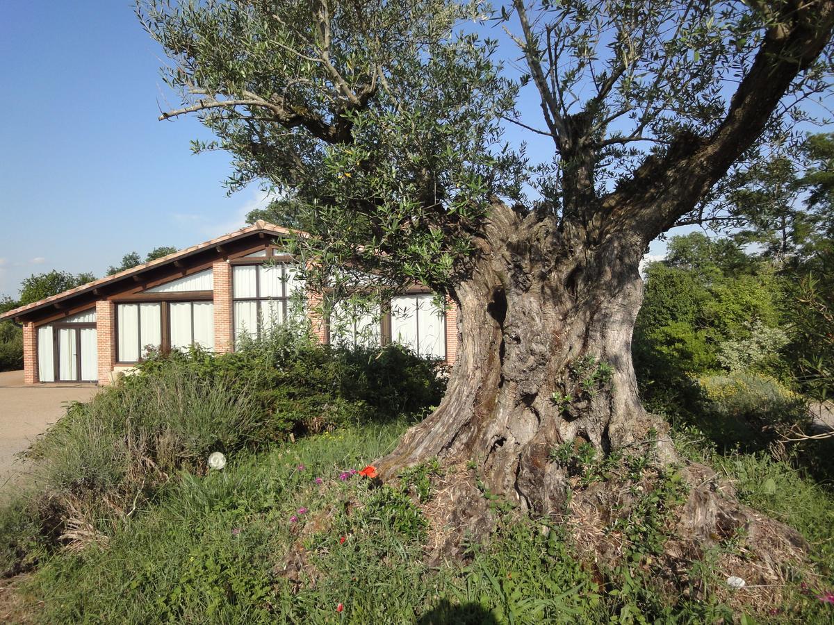 ホテルChalet Domaine De Combe Ramond Veilhes エクステリア 写真